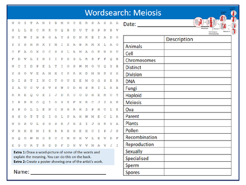 Meiosis Wordsearch Puzzle Sheet Keywords Settler Starter Cover Lesson Science Biology Cell Division Teaching Resources