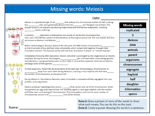 Meiosis Missing Words Cloze Keywords Settler Starter Cover Lesson Science Biology Cell Division