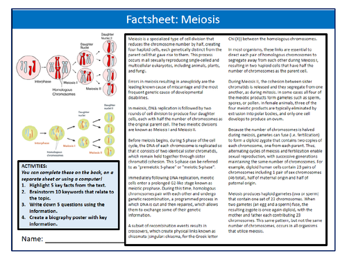 Meiosis Factsheet Worksheet Keywords Settler Starter Cover Lesson Science Biology Cell Division