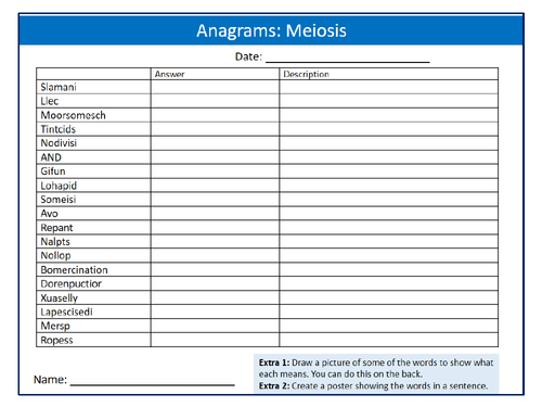 Meiosis Anagrams Puzzle Sheet Keywords Settler Starter Cover Lesson Science Biology Cell Division
