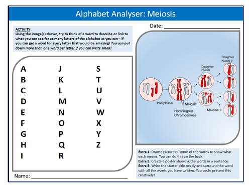 Meiosis Alphabet Analyser Sheet Keywords Settler Starter Cover Lesson Science Biology Cell Division