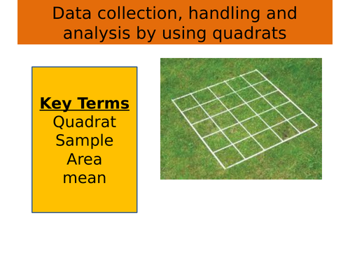 Data collection, handling and analysis: using quadrat