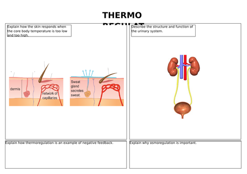 Thermoregulation and osmoregulation