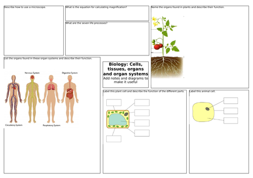 Cells and Organ Systems KS3