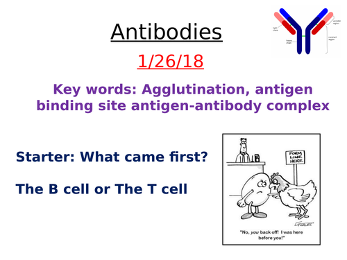 Antibodies resources for AQA A level