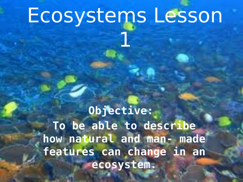 Theme 3 Geography (Eduquas Spec B)  - How ecosystems function - Lesson 1 - What are ecosystems?