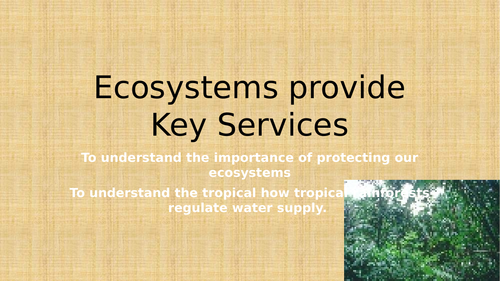 Theme 3 - Lesson 3B - Ecosystems provide Key Services