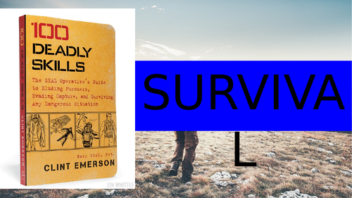100 Deadly Skills - GCSE English Survival Activity