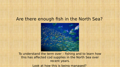 Theme 3 - Lesson 8 - Are there enough fish in the North Sea?