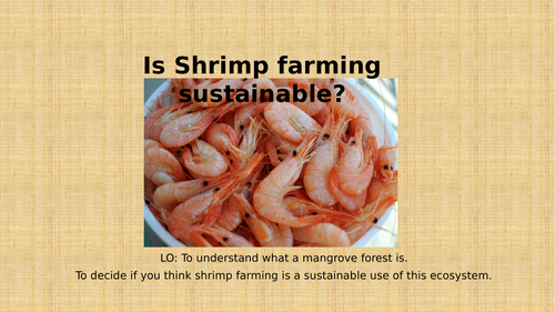 Theme 3 - Lesson 8 - Is Shrimp farming sustainable?