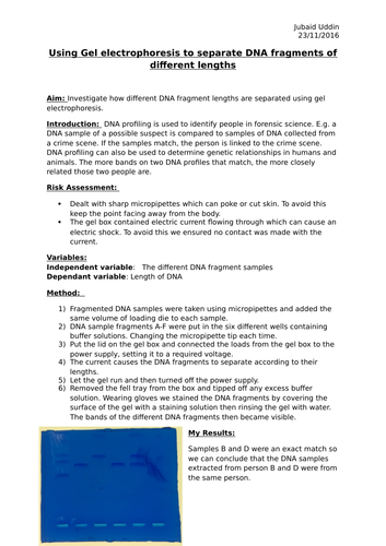 BIOLOGY AS/A LEVEL SALTERS NUFFIELD PRACTICAL WRITE-UP - DNA profiling