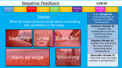 AQA GCSE (9-1) - Negative Feedback