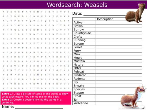 Weasels Wordsearch Puzzle Sheet Keywords Settler Starter Cover Lesson Animals Mammals