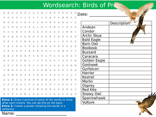 Birds of Prey Wordsearch Puzzle Sheet Keywords Settler Starter Cover Lesson Animals Nature