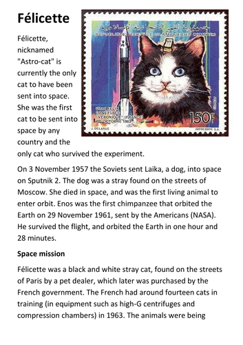 Félicette (The First Cat in Space) Handout