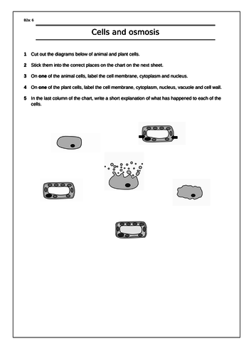 New GCSE AQA Osmosis