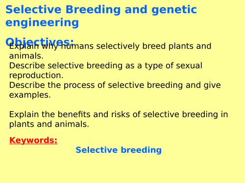 New AQA B6.11 (New Biology GCSE spec 4.6 - exams 2018) – Selective breeding and genetic engineering