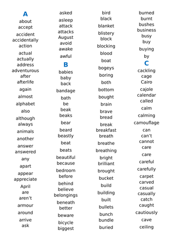 Dictionary (Year 1, 2, 3 and 4 words) + added new ones based on those used over the year