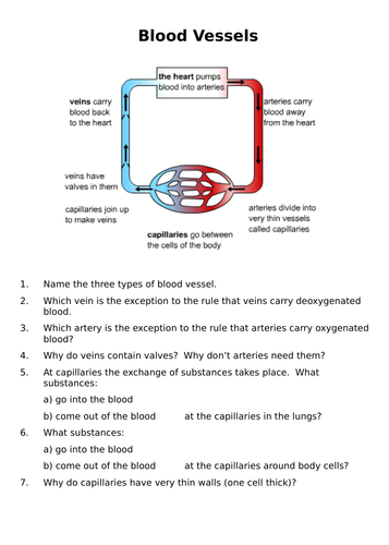 New GCSE AQA The Heart and Blood Vessels