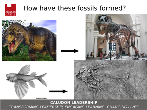 New GCSE AQA Fossils