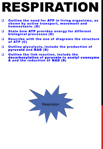 Respiration, ATP structure and glycolysis