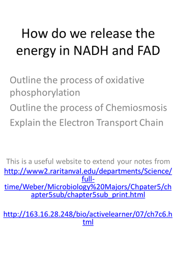 Electron Transport Chain