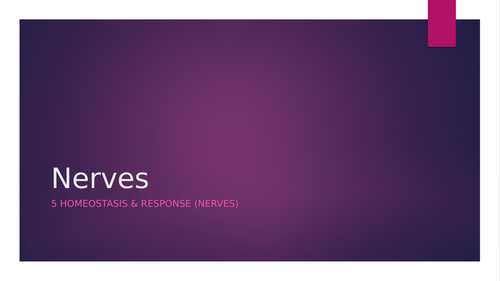 Nervous system/ reflex arc (AQA GCSE 9-1)