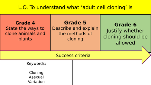 Adult Cell Cloning
