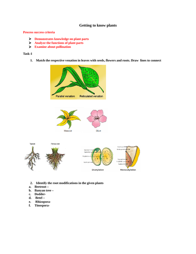 Getting to know plants- Assessment questions with rubrics