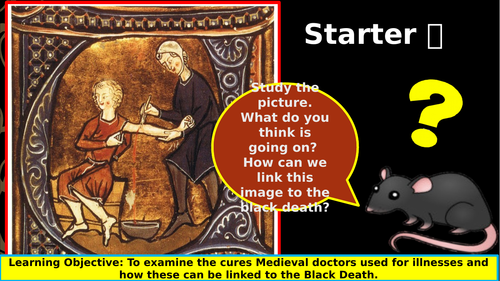 Black Death Cures and Consequences of the Black Death Year 7-8