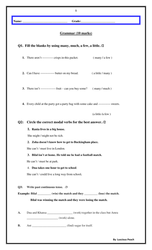 grade 3 english term exam paper with grammar reading comprehension and