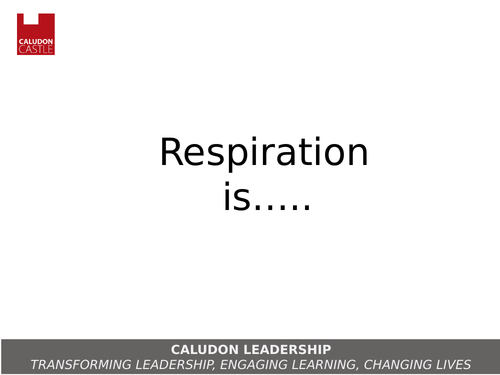 New GCSE AQA Aerobic and Anaerobic Respiration