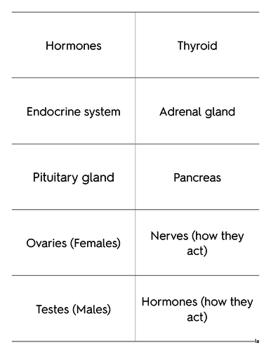AQA - 9-1 - Endocrine System - FOUNDATION - Keywords
