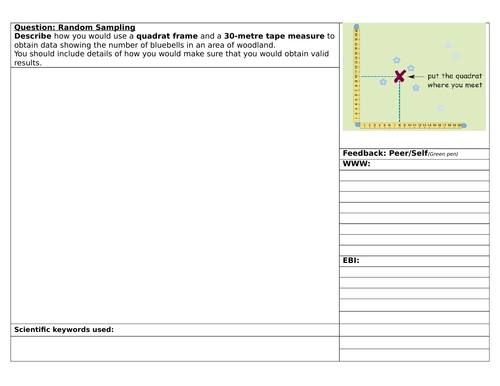 Structuring Feedback on Random Sampling