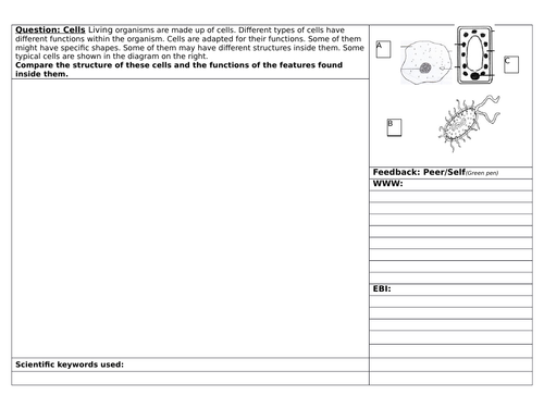 Structuring Feedback on Cells