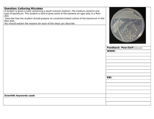 Structuring Feedback on aseptic technique