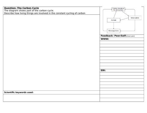 Structuring Feedback on Carbon Cycle