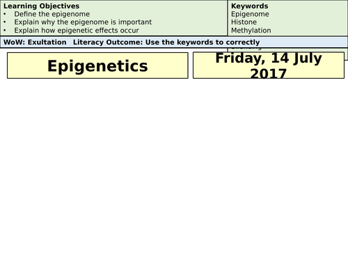 AQA A-Level Biology Epigenetics - Lecture Notes