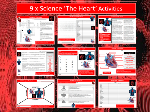 9 x The Heart Starter Activities Keywords Wordsearch Crossword Science Biology Blood Circulation