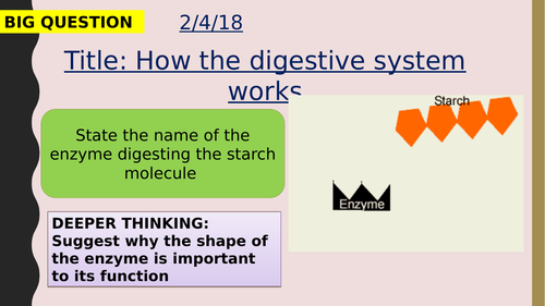 AQA new specification-How the digestive system works-B3.6