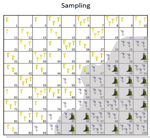 Sampling (in the classroom)