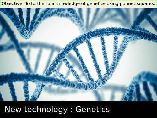 Genetics : Alleles and Punnet Square