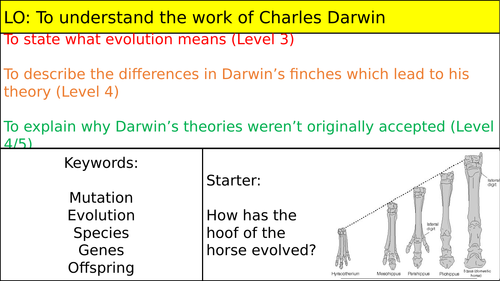 Charles Darwin and Evolution