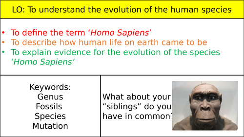 Evolution of the Human Species