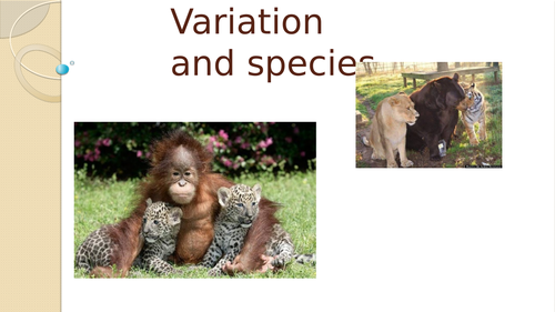 Variation and Species