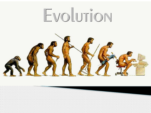 Evolution