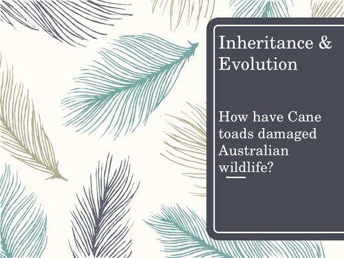 Inheritance & Evolution - selecting information and developing an argument