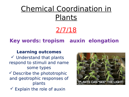 Chemical coordination in plants -  auxin and tropisms