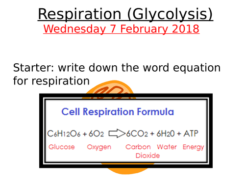 A2 Biology: Glycolysis, Link Reaction and Krebs Cycle Overview