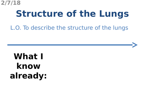 Structure of the Lungs